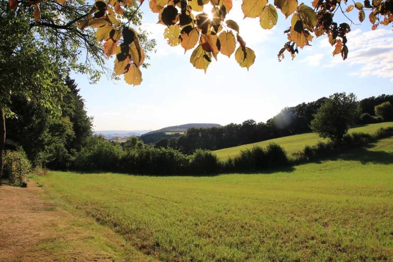 Ferienwohnung Naturfreund Lügde Exteriör bild
